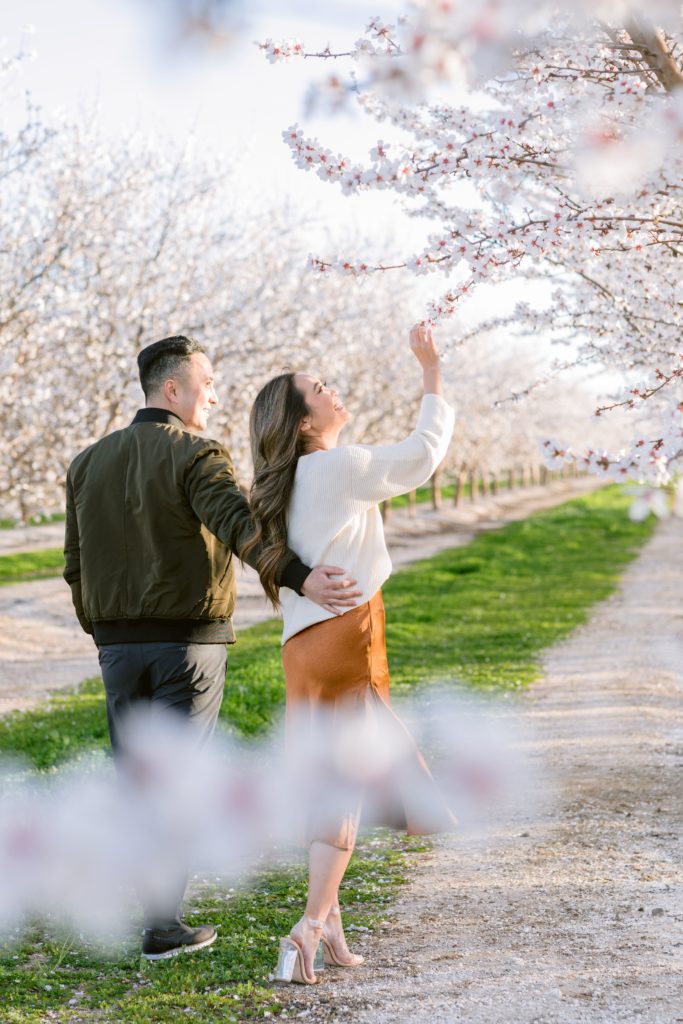 Almond Orchard Cherry Blossoms Engagement Photos